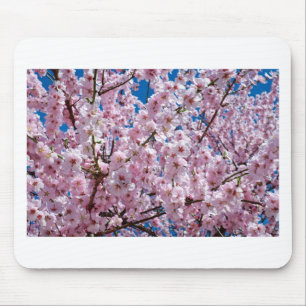 Blume der Japanischen Kirsche Mousepad