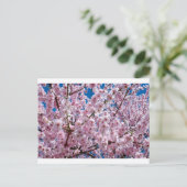 Blume der Japanischen Kirsche Postkarte (Stehend Vorderseite)