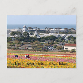 Blume der Karlsbad Postkarte