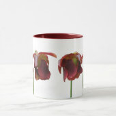 Blume der karnivorischen Pflanze Tasse (Zentrum)