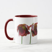 Blume der karnivorischen Pflanze Tasse (Links)