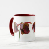 Blume der karnivorischen Pflanze Tasse (Vorderseite Links)