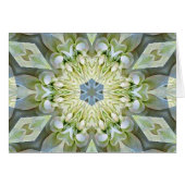 Blume der Liebe_ (Vorderseite (Horizontal))