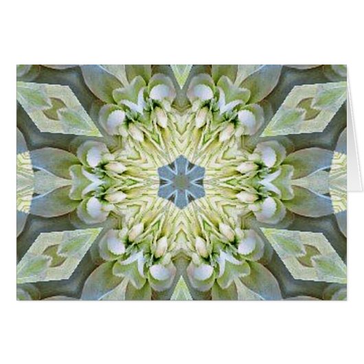 Blume der Liebe_ (Vorderseite (Horizontal))