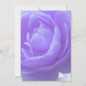 Blume der lila Rose (Rückseite)