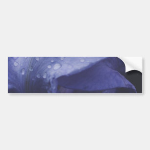 Blume der lila Rose Autoaufkleber