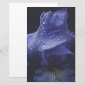 Blume der lila Rose Briefpapier (Vorne/Hinten)