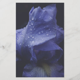 Blume der lila Rose Briefpapier