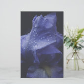 Blume der lila Rose Briefpapier (Stehend Vorderseite)