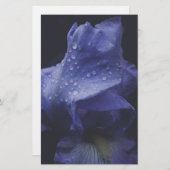 Blume der lila Rose Briefpapier (Vorne/Hinten)