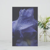 Blume der lila Rose Briefpapier (Stehend Vorderseite)