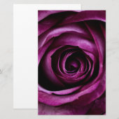 Blume der lila Rose Briefpapier (Vorne/Hinten)