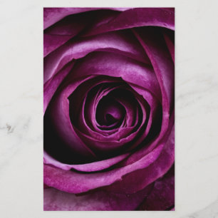 Blume der lila Rose Briefpapier
