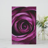 Blume der lila Rose Briefpapier (Stehend Vorderseite)