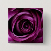 Blume der lila Rose Button (Vorderseite)