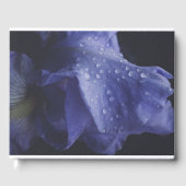 Blume der lila Rose Gästebuch (Vorderseite)