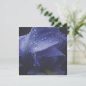 Blume der lila Rose Karte (Stehend Vorderseite)