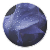 Blume der lila Rose Keramikknauf (Vorderseite)