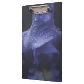 Blume der lila Rose Klemmbrett (Links)