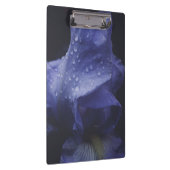 Blume der lila Rose Klemmbrett (Rechts)