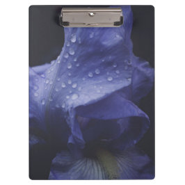 Blume der lila Rose Klemmbrett