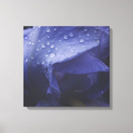 Blume der lila Rose Leinwanddruck