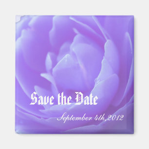 , Blume der lila Rose Magnet