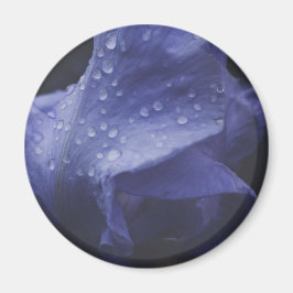 Blume der lila Rose Magnet