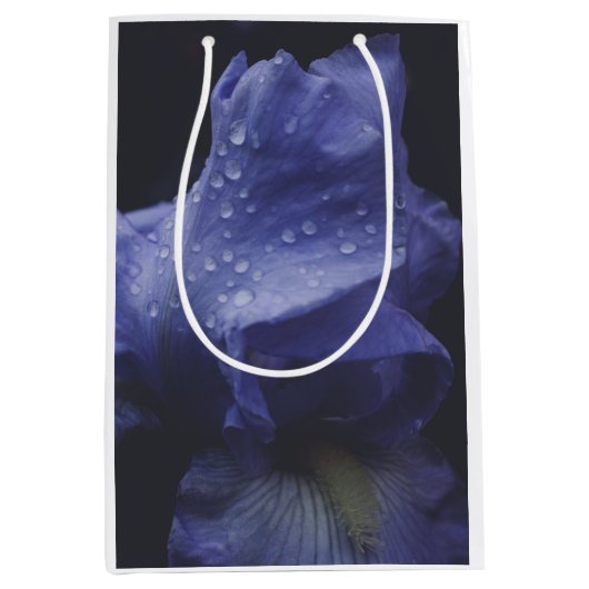 Blume der lila Rose Mittlere Geschenktüte (Vorderseite)