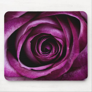 Blume der lila Rose Mousepad
