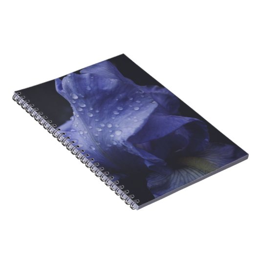 Blume der lila Rose Notizblock (Rechte Seite)