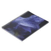 Blume der lila Rose Notizblock (Linke Seite)