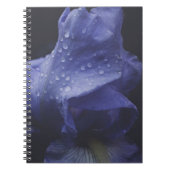 Blume der lila Rose Notizblock (Vorderseite)