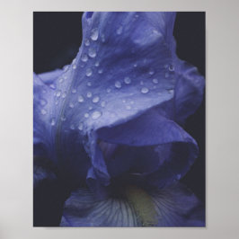 Blume der lila Rose Poster