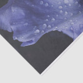 Blume der lila Rose Seidenpapier (Ausschnitt)