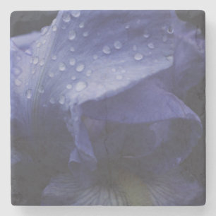 Blume der lila Rose Steinuntersetzer