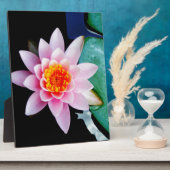 Blume der Lilie (Pink und Orange) Fotoplatte (Seite)