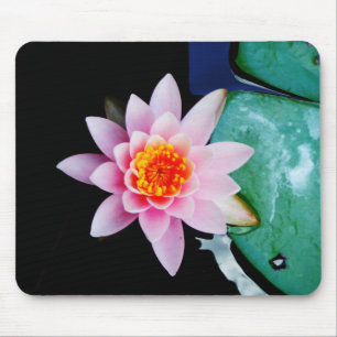 Blume der Lilie (Pink und Orange) Mousepad