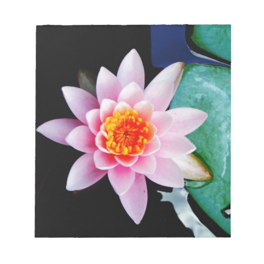Blume der Lilie (Pink und Orange) Notizblock (Vorderseite)