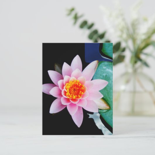 Blume der Lilie (Pink und Orange) Postkarte (Stehend Vorderseite)