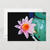 Blume der Lilie (Pink und Orange) Postkarte (Vorne/Hinten)