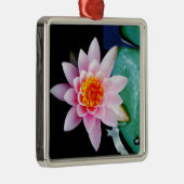 Blume der Lilie (Pink und Orange) Silbernes Ornament (Rechts)