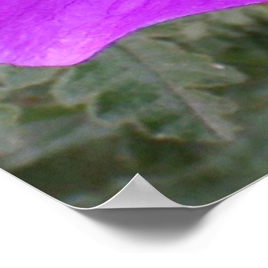 Blume der Menschheit Poster (Ecke)