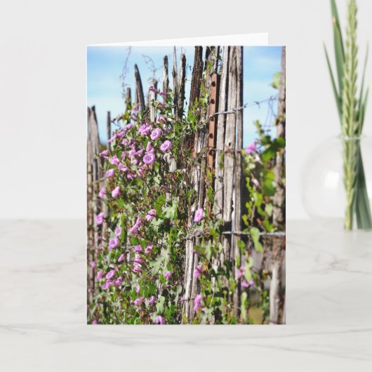 Blume der Morgenruhme, Schrift hebräische Karten 1 (Vorderseite)