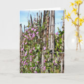 Blume der Morgenruhme, Schrift hebräische Karten 1 (Gelbe Blume)