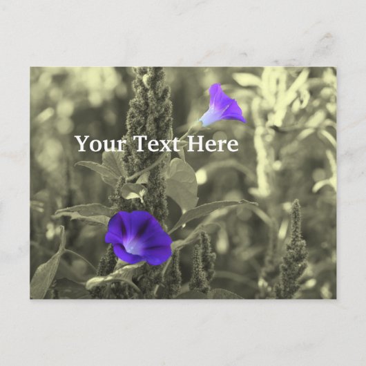 Blume der Morning Glories - individuell anpassbare Postkarte (Vorderseite)