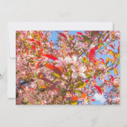 Blume der Natur blühen Sonnenlicht Einladung (Vorderseite)