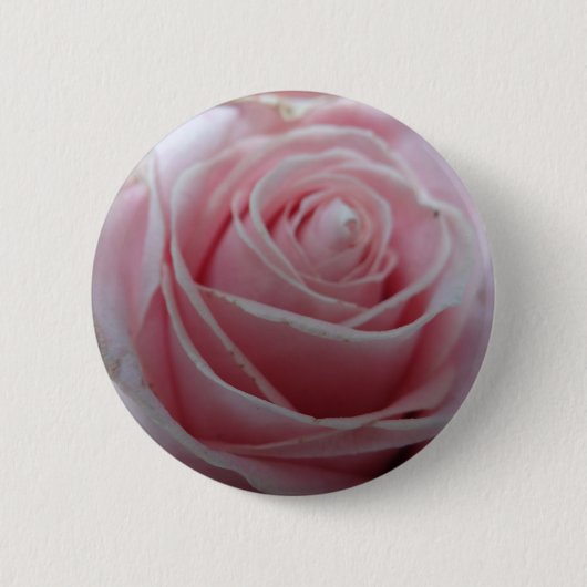 Blume der niedlichen Rose Button (Vorderseite)