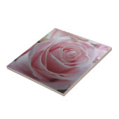 Blume der niedlichen Rose Fliese (Seite)