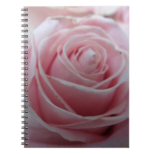 Blume der niedlichen Rose Notizblock (Vorderseite)